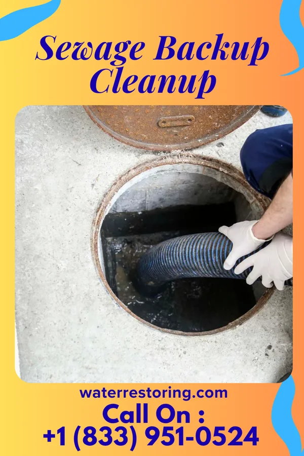 Sewage Backup Cleanup in Munroe Falls, OH
