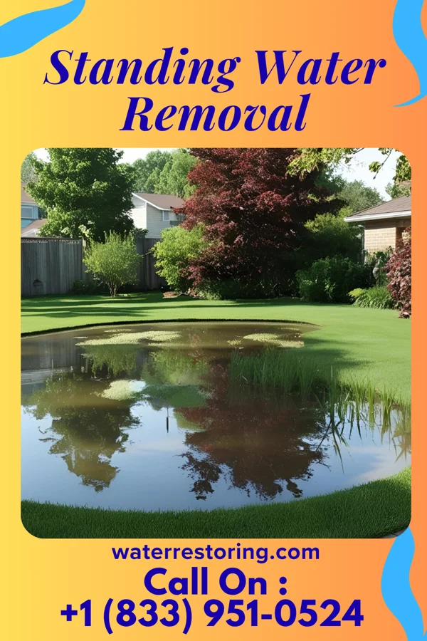 Standing Water Removal in Munroe Falls, OH